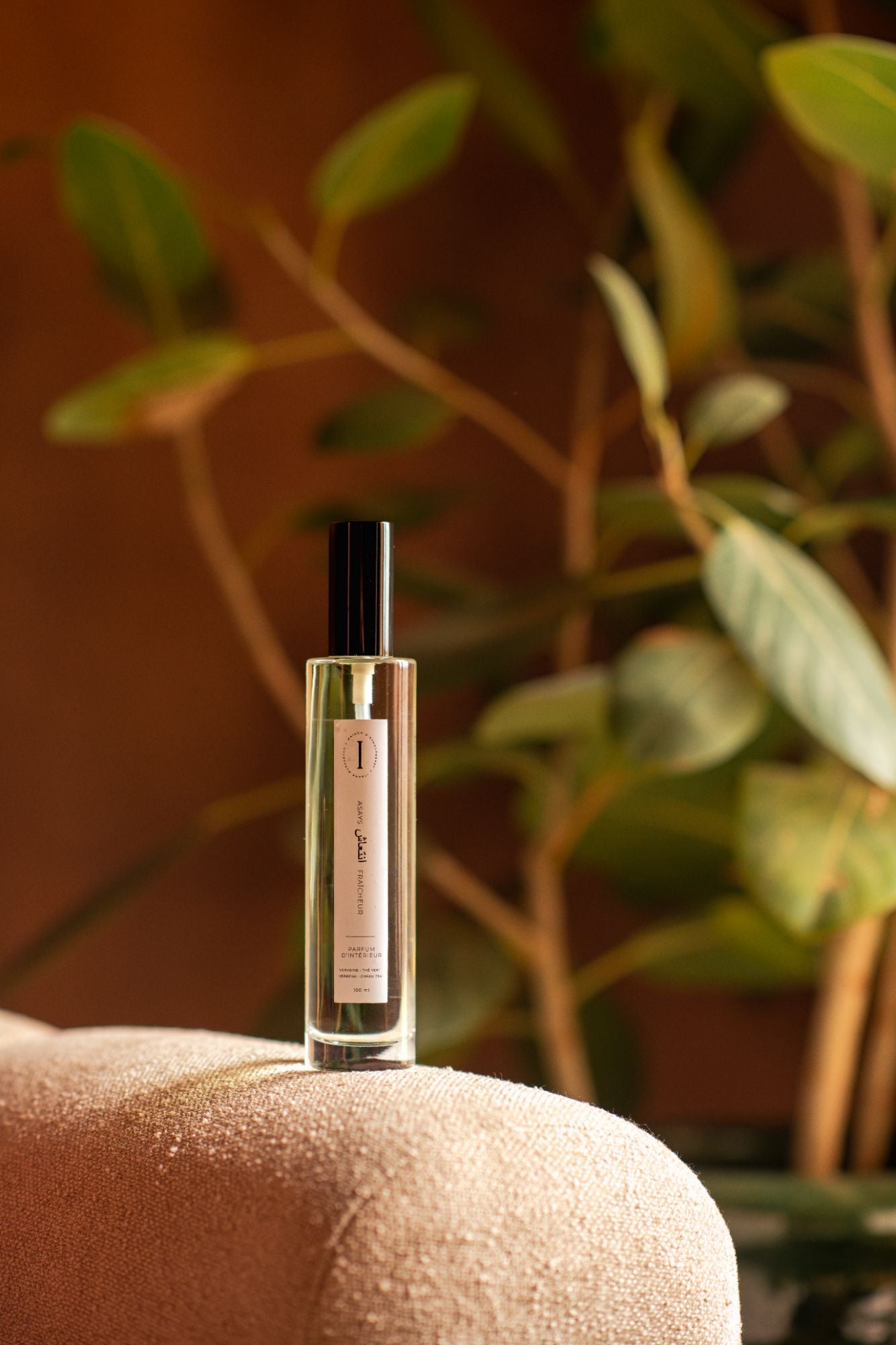 Parfum d'intérieur Asays
