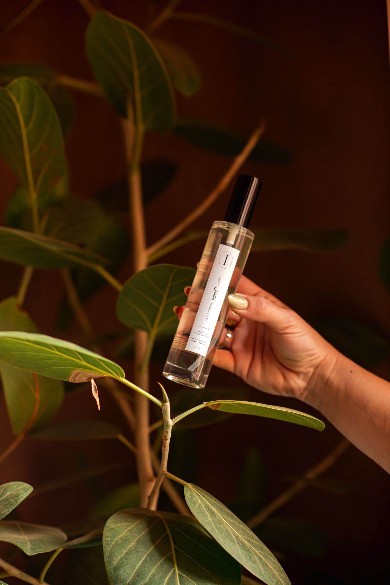 Parfum d'intérieur Asays